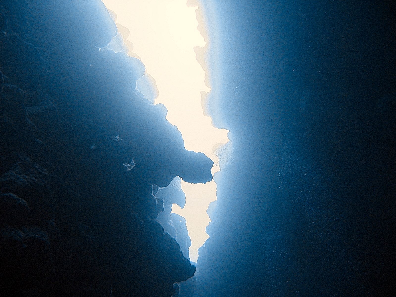 The Canyon divesite photo
